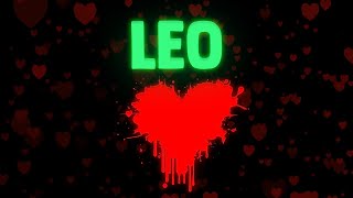 LEO ❤ 