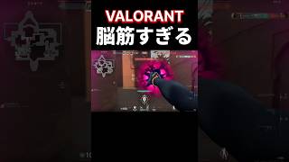 焦りすぎた結果… #VALORANT #初心者 #切り抜き #スイカくん #shorts