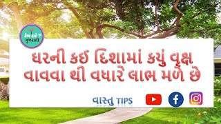 Vaastu Tips ||ઘરની કઈ દિશામાં કેવા વૃક્ષો અને છોડ લગાવવાથી  વધારે લાભ થાય છે?