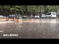 福壽山農場下冰雹雨 遊客驚奇錄影