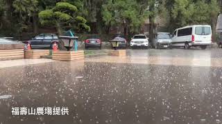 福壽山農場下冰雹雨 遊客驚奇錄影