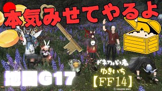 【FF14】本気みせてやるぅぅうよ！！G17配信！【MeteorDCマンドラ】483