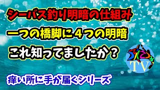 【シーバス】知られざる謎の明暗部そしてその釣り方等 徹底解説 ！初心者 中級者向け！