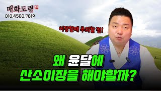 왜 윤달에 산소이장을 해야할까 이장할때 '이거는' 하지마세요 용군TV 매화도령