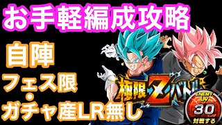 【編成難易度低め】ベジットブルー・ロゼの極限Zバトル Lv30をお手軽編成で攻略！【ドッカンバトル 】