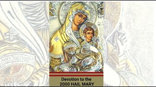 Invitation to Pray the 2000 Hail Mary Devotion