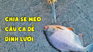 Chia Sẻ Cách Câu Cá Dễ Dính Mép | Hồ Câu Cá Gia Tuấn | Chung Nguyễn Fishing