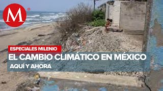 Aquí y ahora: El cambio climático en México | Especiales Milenio