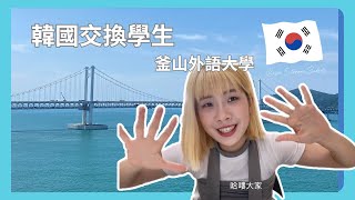 KR韓國交換｜釜山外語大學心得分享｜Exchange student in korea