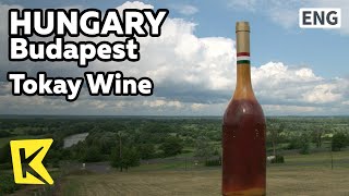 【K】Hungary Travel- Budapest[헝가리 여행-부다페스트]토카이, 동굴 와인 저장고/Tokay Wine/Grape/Underground/Cavern cellar