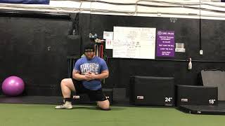 TheStrengthHouse.com - Half Kneeling Adductor Dips