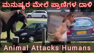 Animal attacks human ಪ್ರಾಣಿಗಳು ಮನುಷ್ಯನ ಮೇಲೆ ದಾಳಿ ಮಾಡುವ ದೃಶ್ಯಗಳು