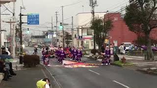 夜桜金魚とまこまい 白老八幡神社例大祭 in 白老大乱舞 ①「藤桜爛漫」