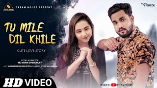 Tu Mile Dil Khile |Cute Love Story |Hindi Romantic Song| Nuralam Siddiki & Aarohi Priya | Nur Films