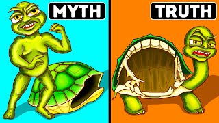 Turtles Can't Leave Their Shells + 70 Facts About Everything