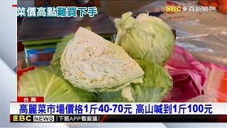 菜金？高麗菜產地一顆22元 菜市場一顆賣210元