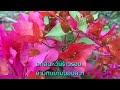 สายสร้อยร้อยใจ ม.ร.ว.ถนัดศรี สวัสดิวัตน์