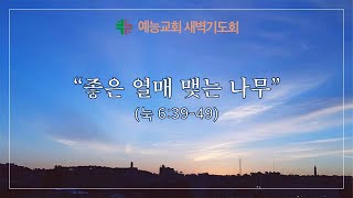 예능교회 새벽기도 2월 4일