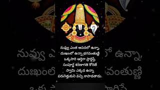 //నువ్వు ఎంత ఆపదలో ఉన్నా.....//ఓం నమో వెంకటేశాయ నమః🙏🙏#youtubeshorts #cutepuppies @28147