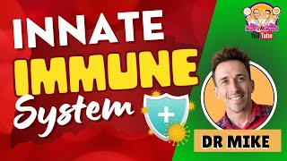 Innate Immunity | Immune System