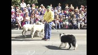 2006-07-06 Calgary Stampede Parade-Calgary, Alberta