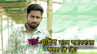 মার্চ-এপ্রিল মাসে সম্ভাবনাময় ফসল কি কি?