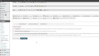 Responsive WordPress BlackStudio TinyMCE (Visual Editor Widget) Explained