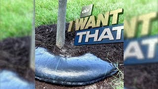 TreeDiaper on DIY Network: I WANT THAT