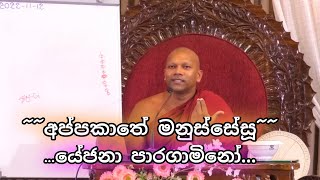 අප්පකාතේ මනුස්සේසූ යේජනා පාරගාමිනෝ | Niwathapa Thero