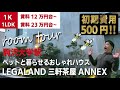 ※【満室】募集終了※＜復活＞【legaland三軒茶屋annex（リーガランド三軒茶屋アネックス）】三軒茶屋駅｜ルームツアー参考動画（2023年4月最終更新）