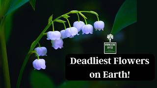 Deadliest Flowers on Earth