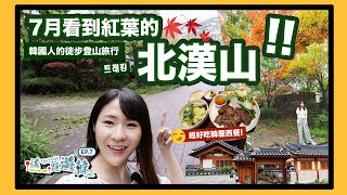 [中字]【韓國人的徒步登山旅行!】7月也看到紅葉的北漢山 - 遙距遊韓 EP.7 | KIMCHIPAT