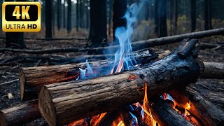 🔥 Create the Perfect Cozy Fireplace Winter Night in 5 Minutes! F1