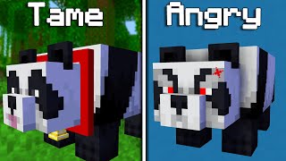 20 Things You Didn't Know About PANDA In Minecraft (Hindi)