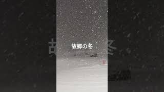 久々に故郷の弘前に帰ってきたけど雪ヤバい　#shorts #雪 #弘前 #青森県