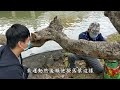 【台南公園】貌似明亮公園內的深層秘密｜最古老的公園