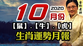 【鼠、牛、虎】2020年10月份生肖運勢月報（庚子年丙戌月）｜好運來抱抱｜10/08-11/06｜金玲老師（有字幕）