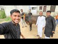 Eid ul Adha Mubarak ( 2022 )
