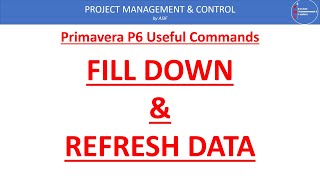 Fill Down \u0026 Refresh Operations in Primavera P6