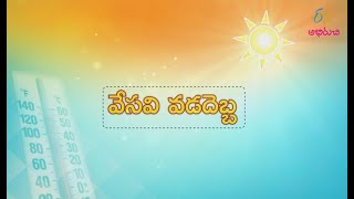 Sun Stroke | ఎండాకాలంలో తాజాదనం అందించే నిమ్మరసం | ETV Abhiruchi