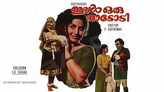 പറന്നു പറന്നു പോ - ഇവൾ ഒരു നാടോടി (1979)