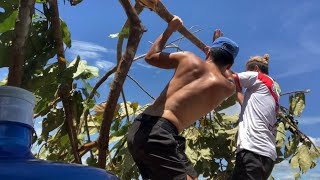 Nearly died while rafting down the Amazon river (Peru)