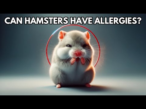 Is it rare to be allergic to hamsters?
