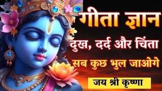 गीता ज्ञान दुख दर्द और चिंता सब कुछ भूल जाओगे Best Krishna motivational Speech..#krishna