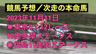 【競馬予想／2023年11月11日東京.福島開催】以前「次走本命にしたい馬」としてピックアップしていた馬が5頭出走します #競馬 #競馬予想 #次走の本命馬 #win5