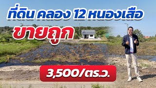 ที่ดินถูกบอกด้วย EP.30 | ขายที่ดินราคาถูก 100 ตร.ว. คลอง12 หนองเสือ ปทุม