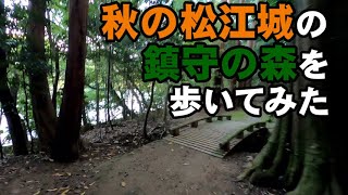 秋の松江城の鎮守の森を歩いてみた