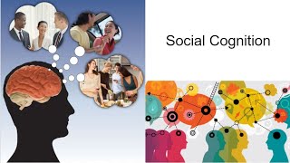 AP Psychology - Unit 9: Social Psychology, Part 1: Social Cognition