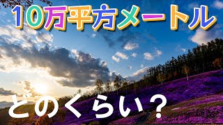 圧巻！！日本最大級 香りの里 滝上【4K】北海道  道東 絶景 滝上町芝桜公園  期間限定の風景 癒し 観光 旅行