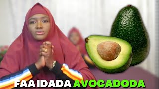 AVOCADO KU DARSO NOLOL MAALMEDKADA, XANUUNO BADAN AYAY KA HORTAGTAA, SIDO KALLE WAA CAAFIMAAD BUUXA!